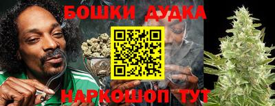 ПСИЛОЦИБИНОВЫЕ ГРИБЫ Кингисепп