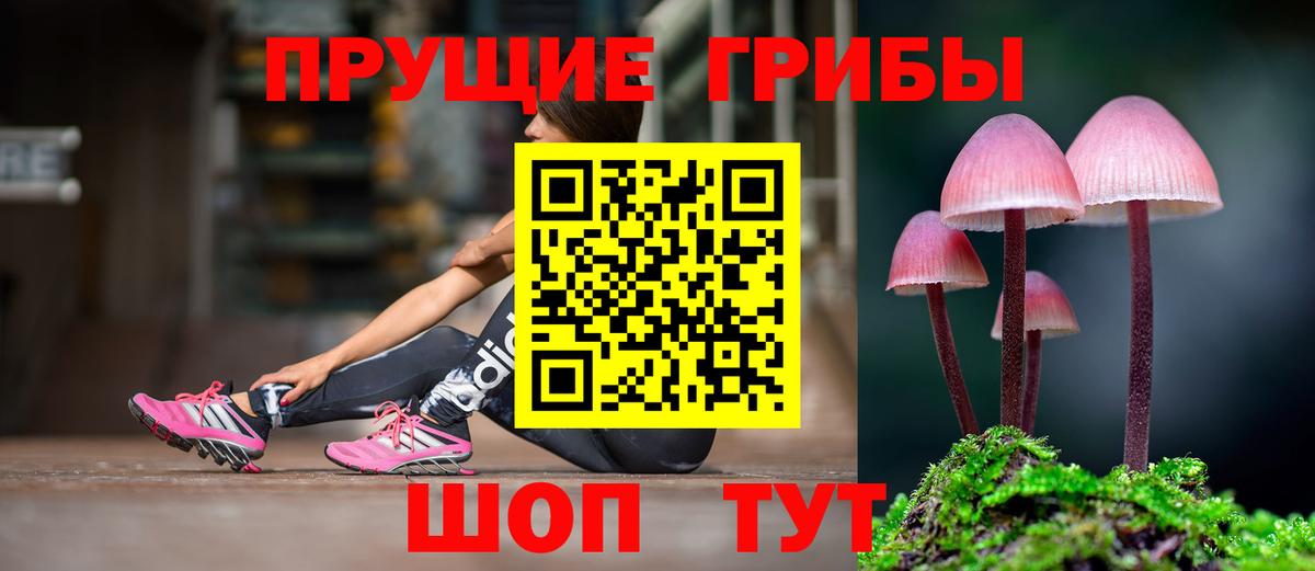 Псилоцибиновые грибы мицелий Вологда